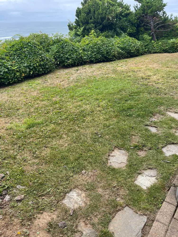 Yard project 1 after MS Landscaping service