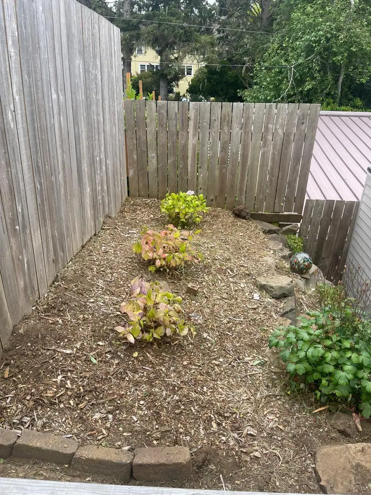 Yard project 2 after MS Landscaping service