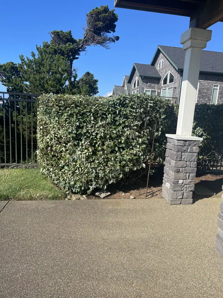 Yard project 23 after MS Landscaping service