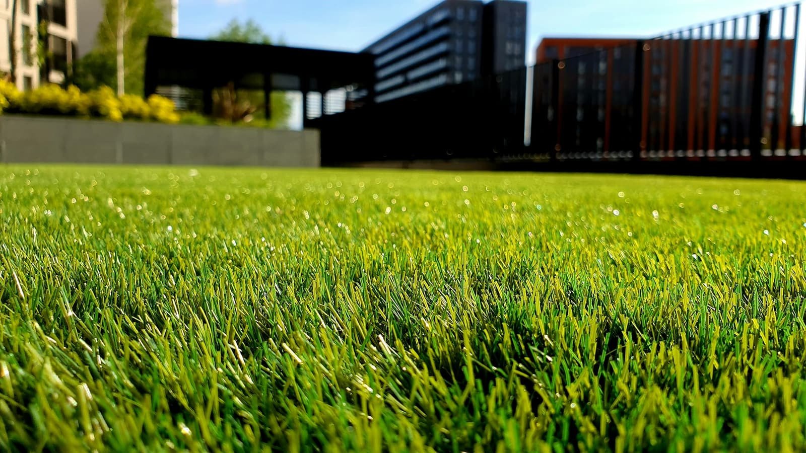 Fresh green lawn beside a landscaped home
